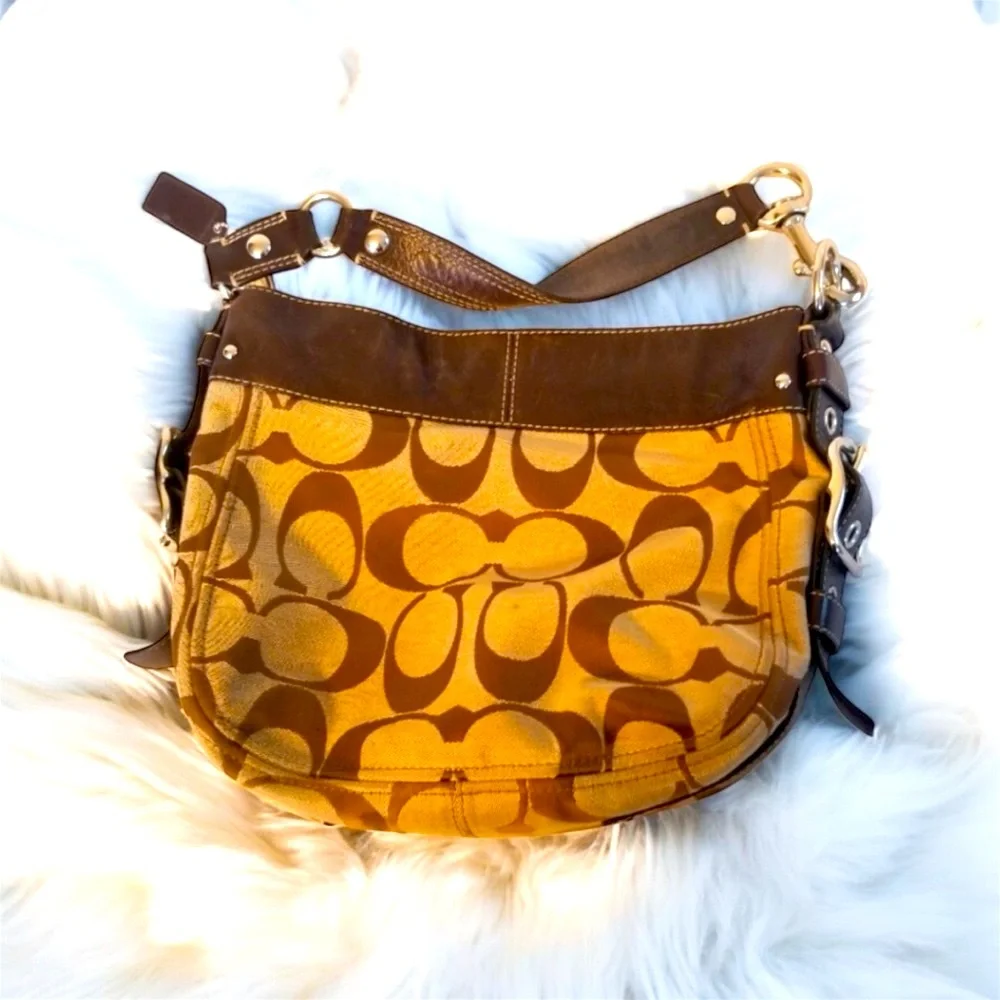 Coach Zoe Tote Hobo Satchel Bag